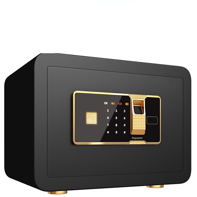 Ảnh minh họa thợ sửa khóa két sắt vân tay tại TP.Hồ Chí Minh - Hình 4